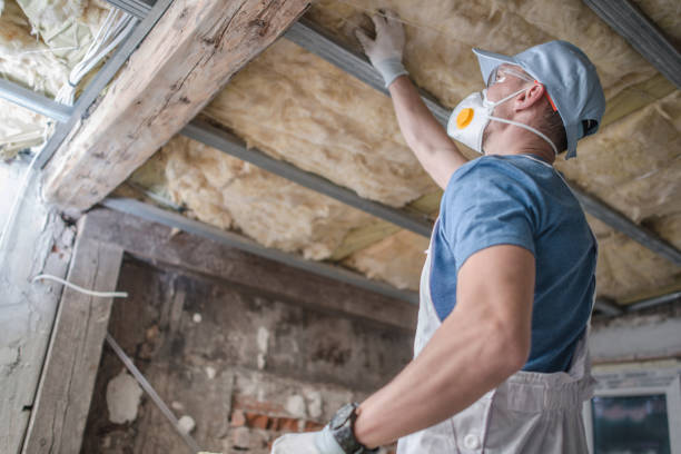 Best Attic Insulation Installation  in Wabasha, MN