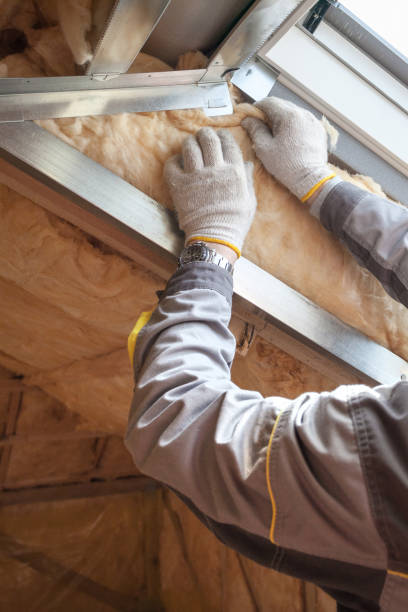 Best Soundproof Insulation Installation  in Wabasha, MN