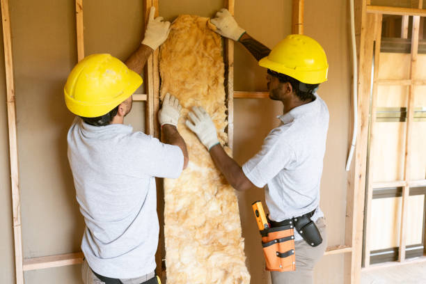 Range of Insulation Solutions in Wabasha, MN
